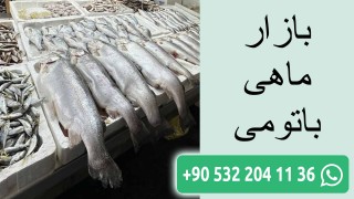 بازار ماهی باتومی